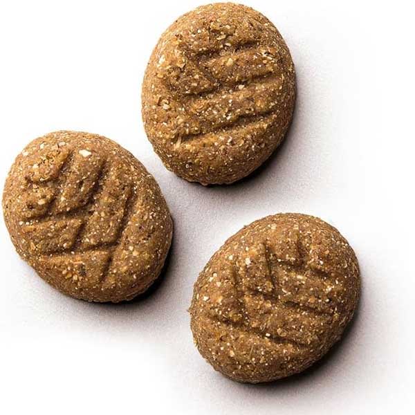 4-Wagg-Cookie-Bites-Peanut-Butter-&-Banana-Dog-Treats-125g